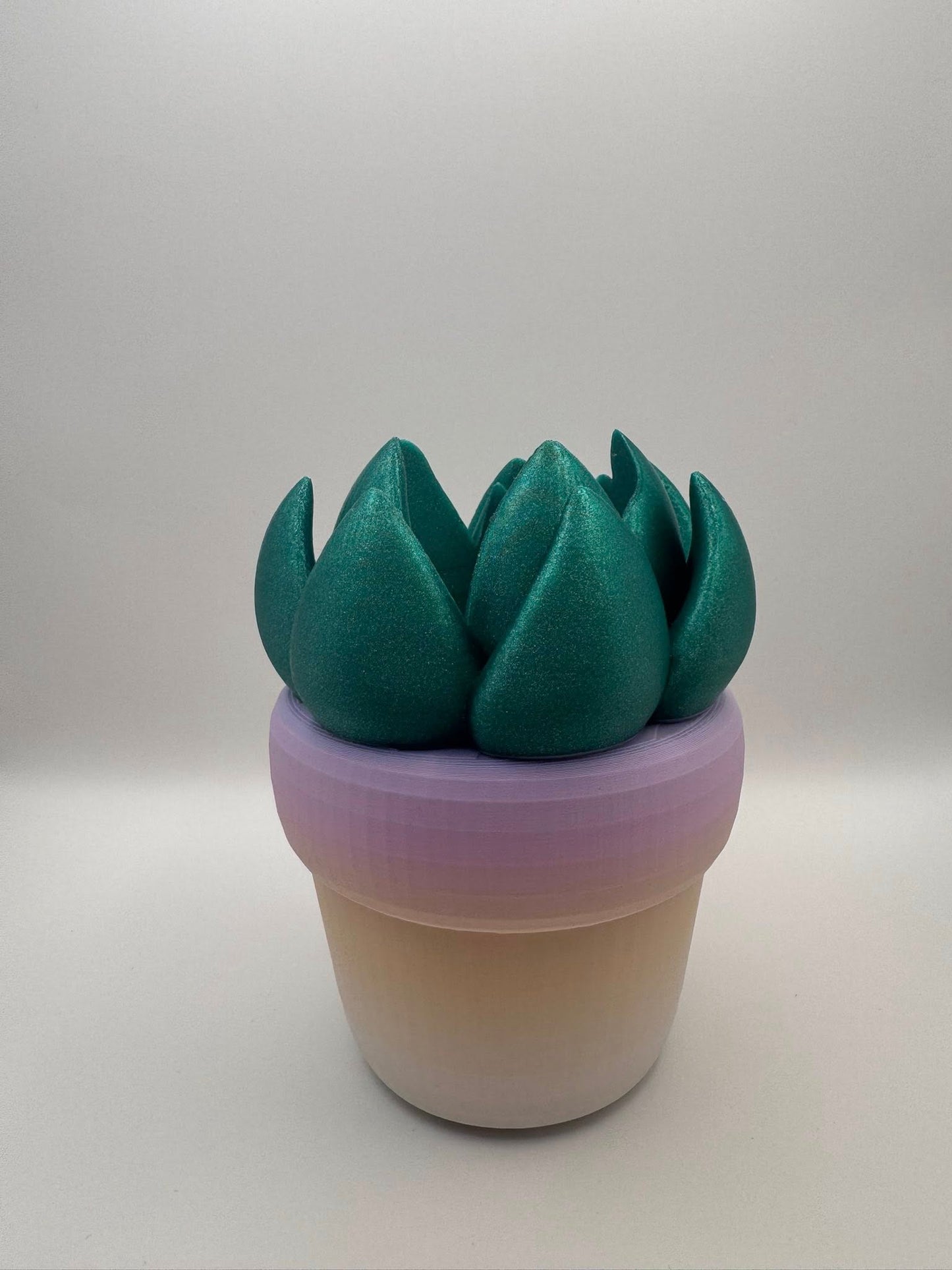 Cactus Foaming Soap Holder