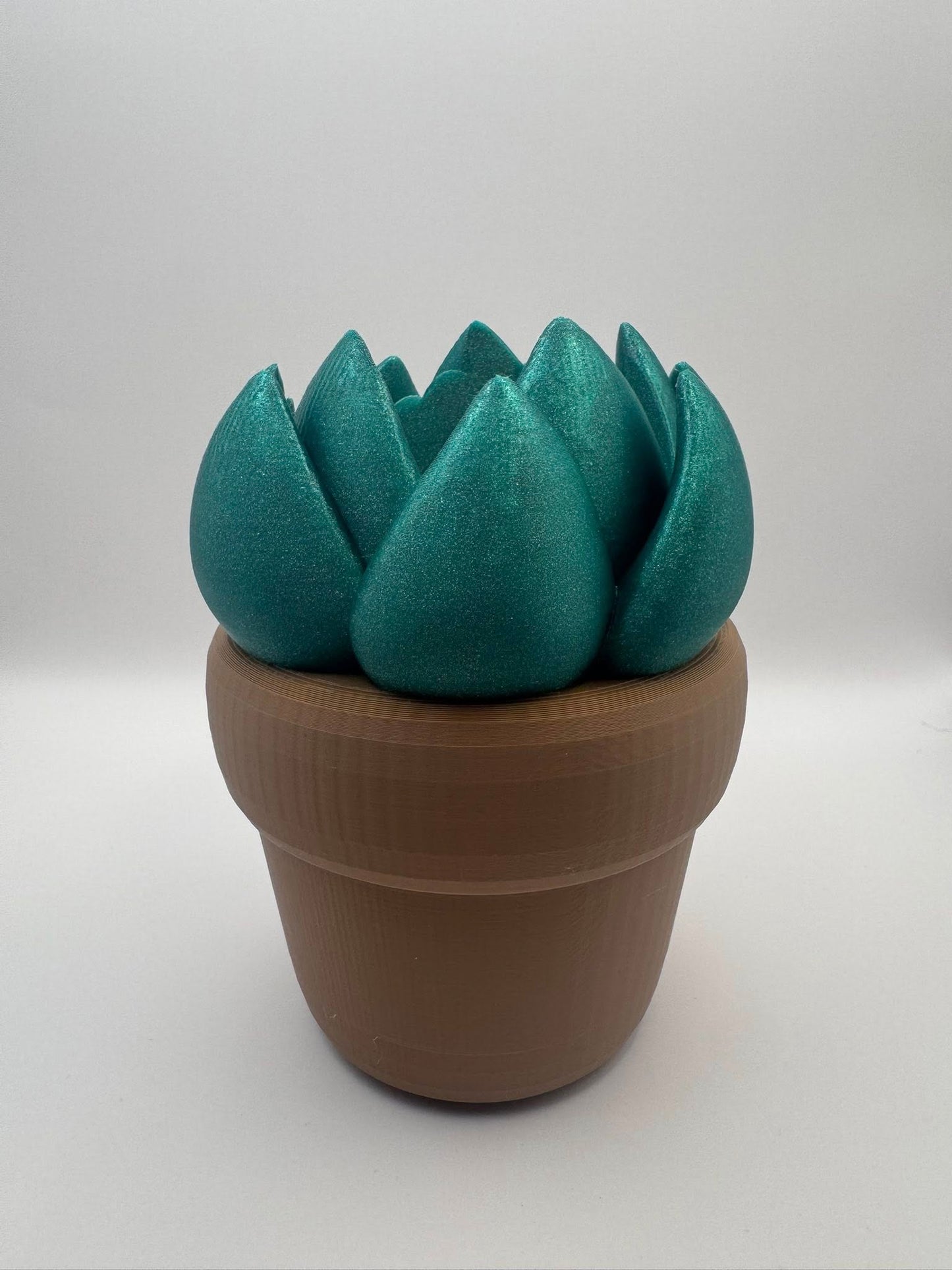 Cactus Foaming Soap Holder
